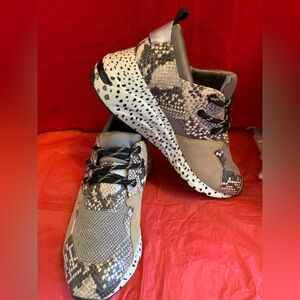 STEVE MADDEN